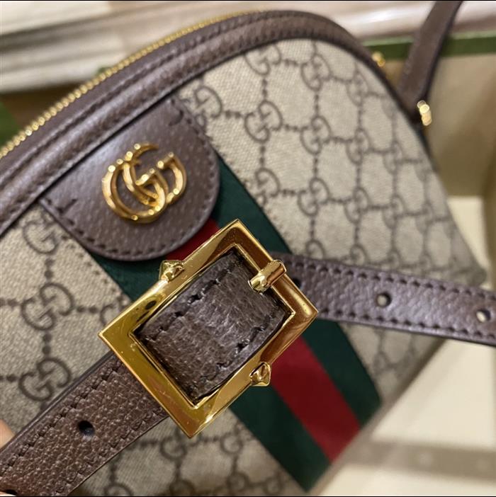 202529C499621N164026778