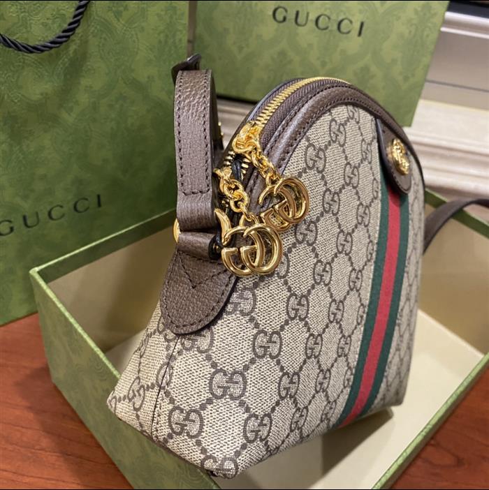 202529C499621N164026794