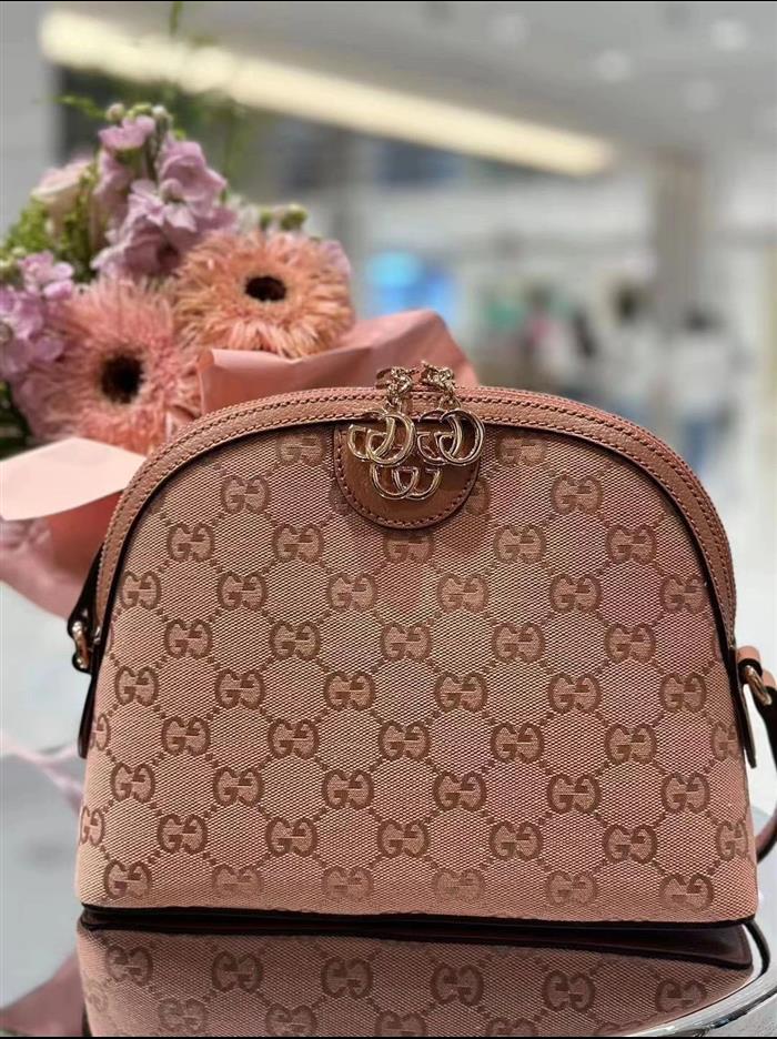 202529C499621N164026917