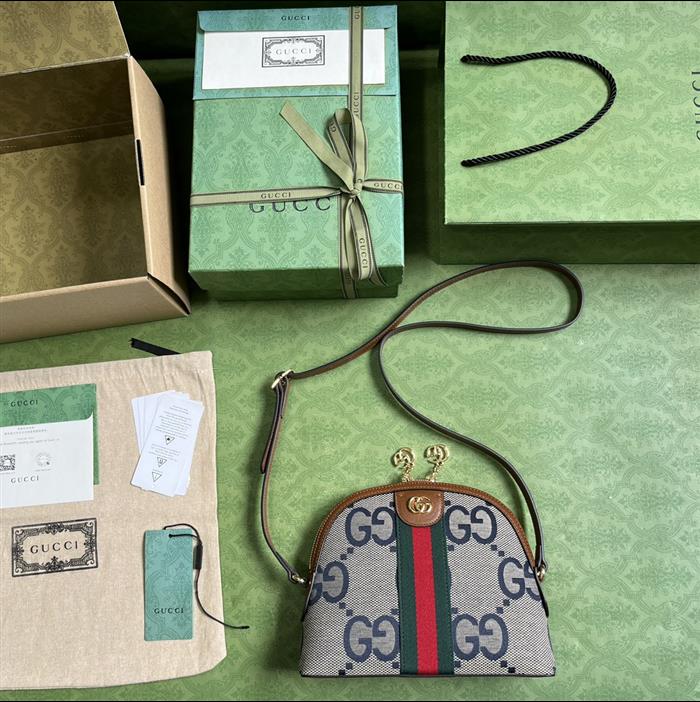 202529C499621N164027263