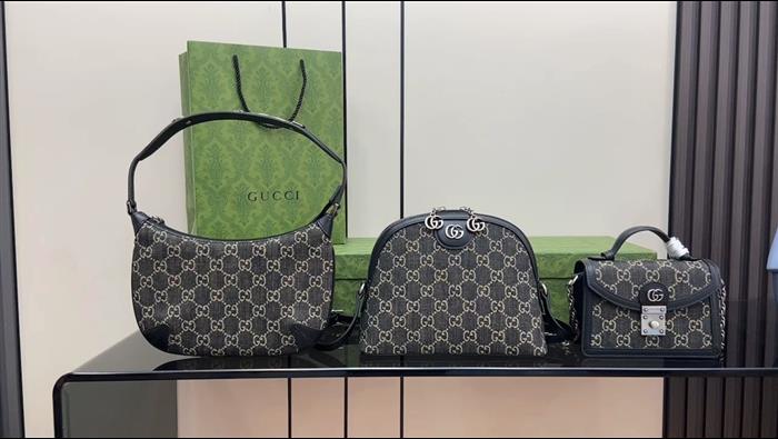 202529C499621N164027284