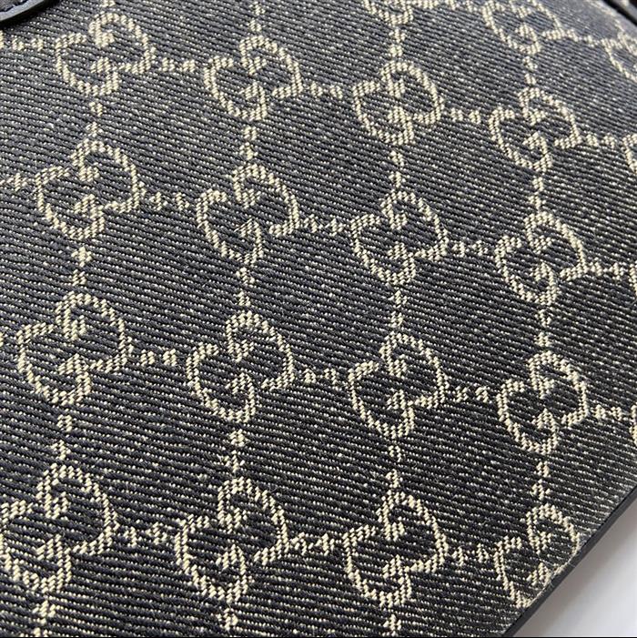 202529C499621N164027418