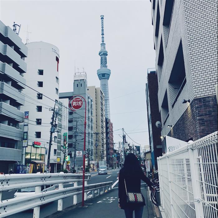 202529C503877N164027572