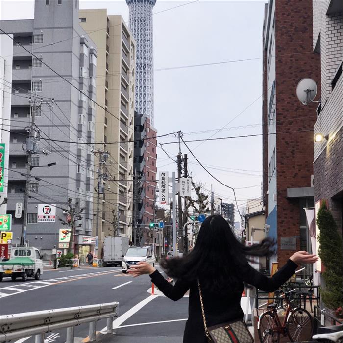 202529C503877N164027588