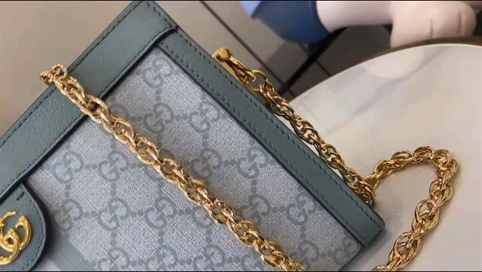 202529C503877N164027634