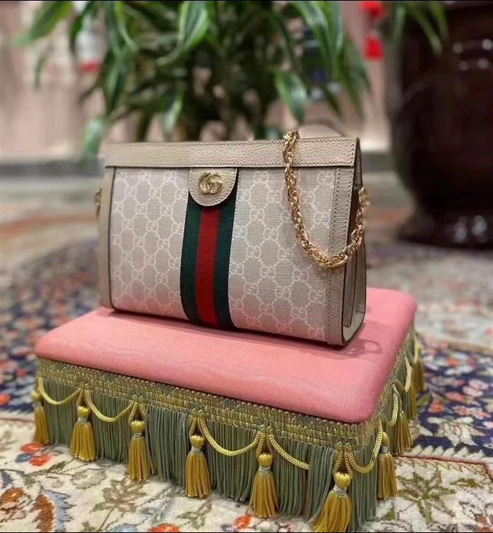 202529C503877N164027868