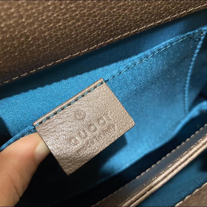 202529C503877N164029230