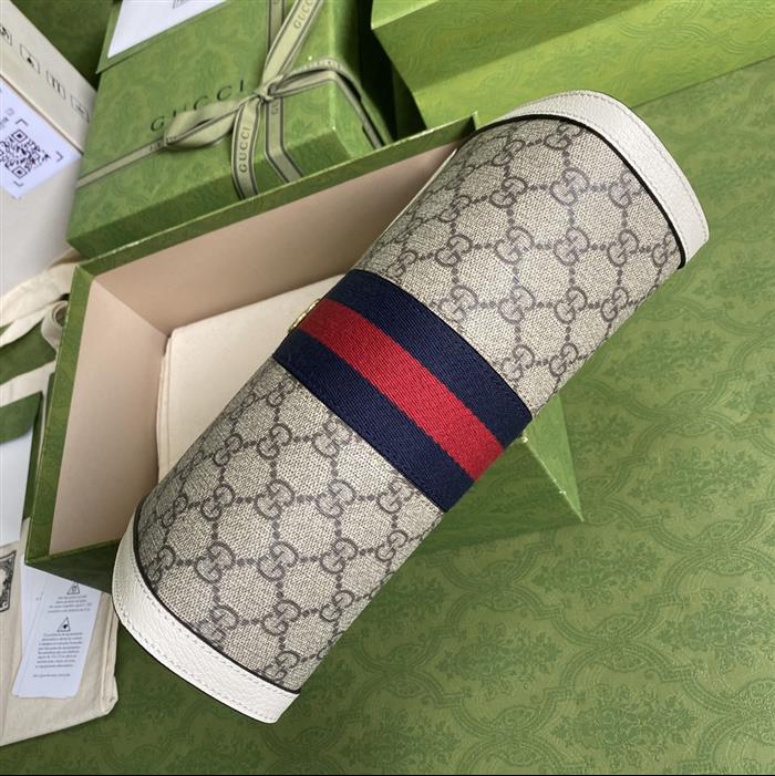 202529C503877N164029309