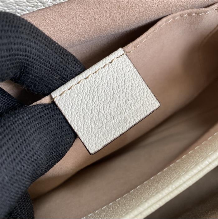 202529C503877N164029356