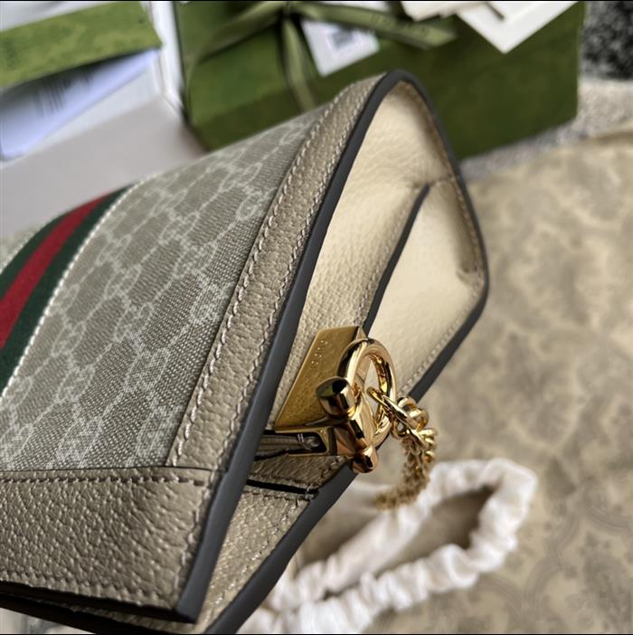 202529C503877N16402940