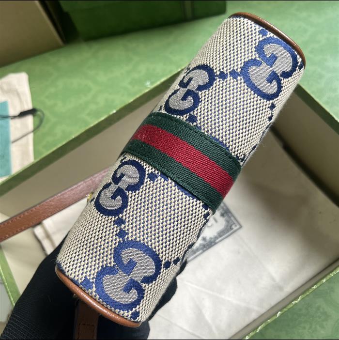 202529C517350N164030488