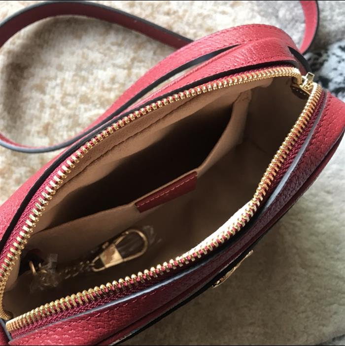 202529C517350N16403095