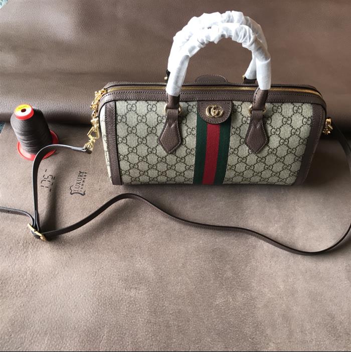 202529C524532N164031656