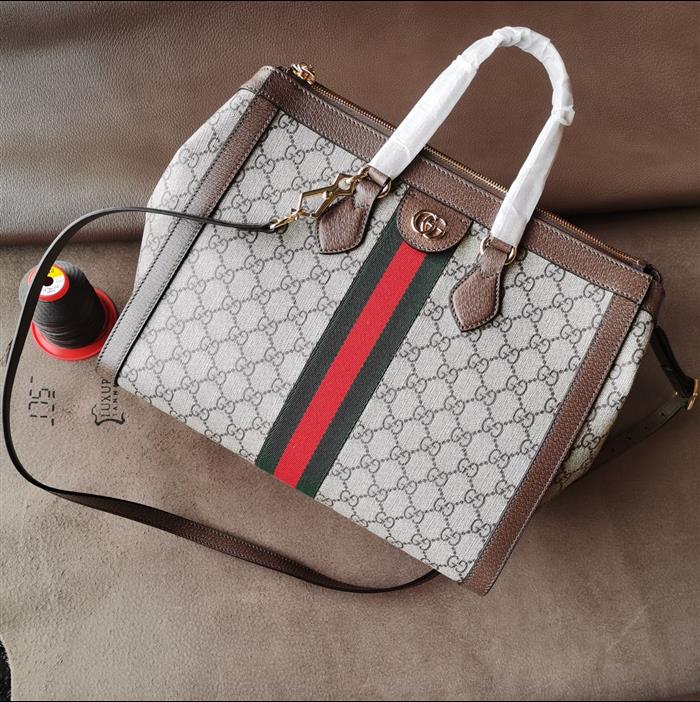 202529C524537N164031881