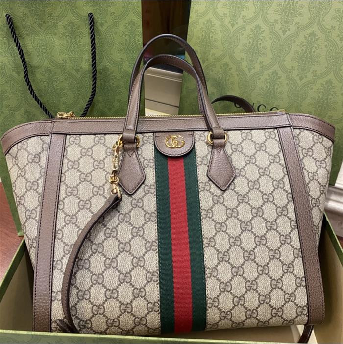 202529C524537N164031955