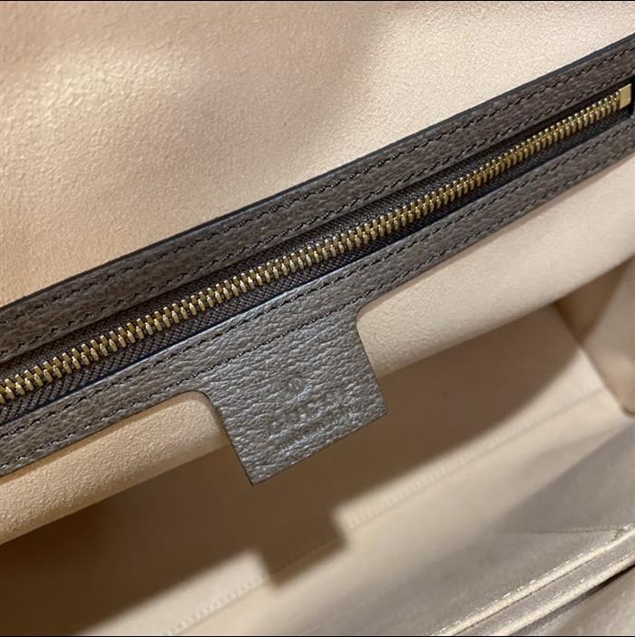 202529C524537N16403279