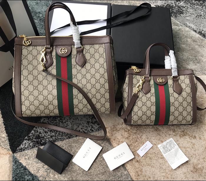 202529C547551N164032101