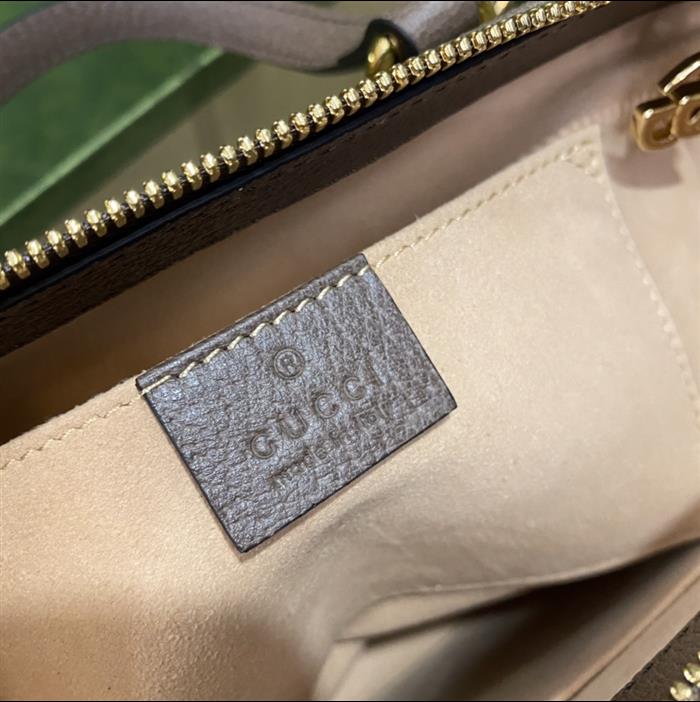 202529C547551N164032267