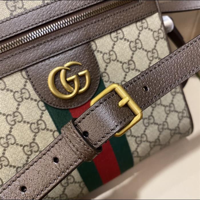 202529C547926N164032757