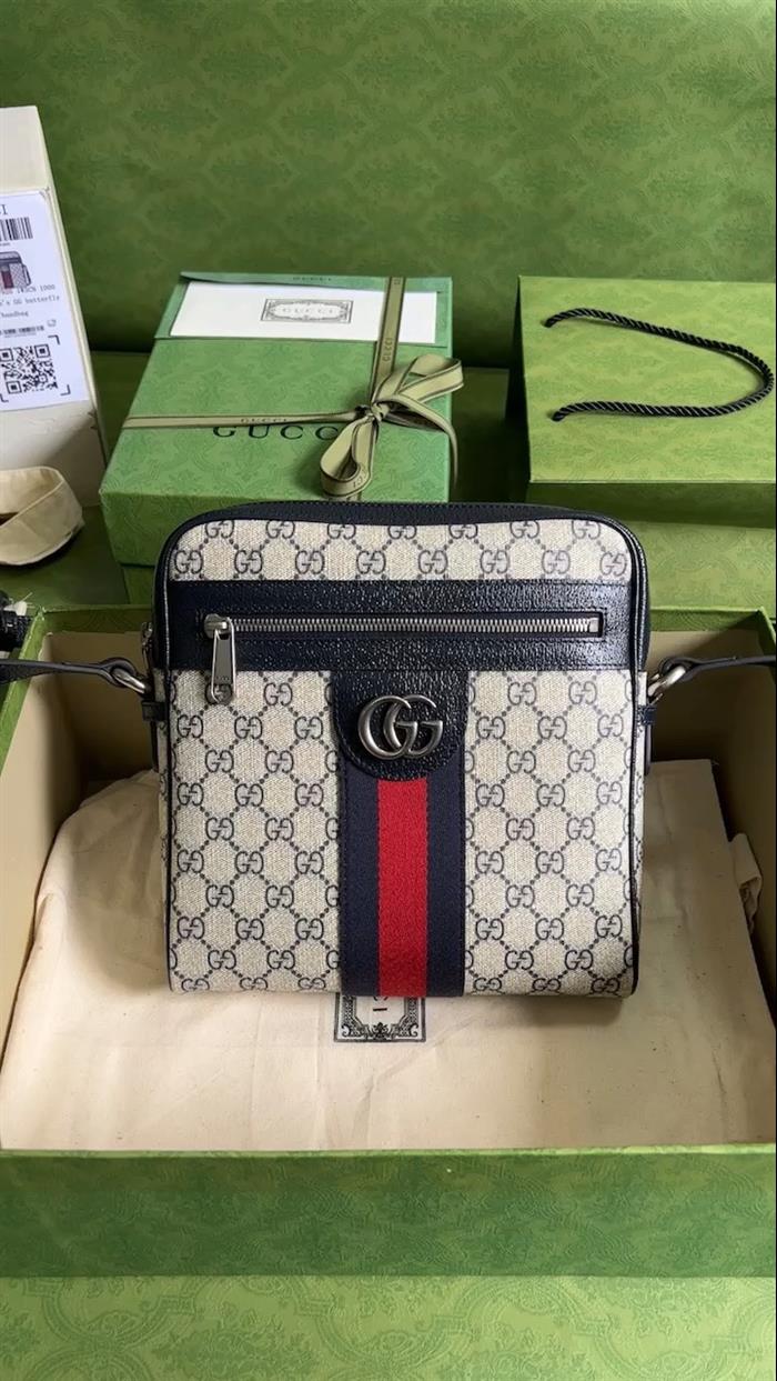 202529C547926N164032931