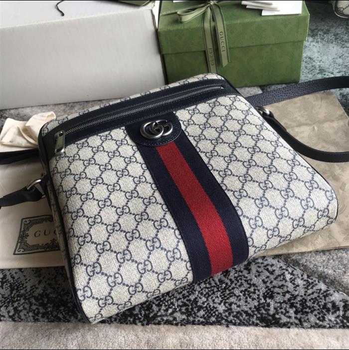 202529C547934N164033261