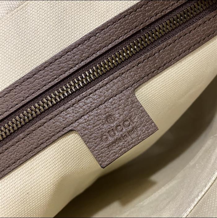 202529C547934N16403357