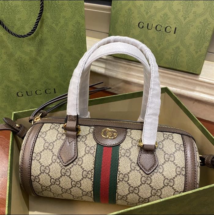 202529C602577N164036695