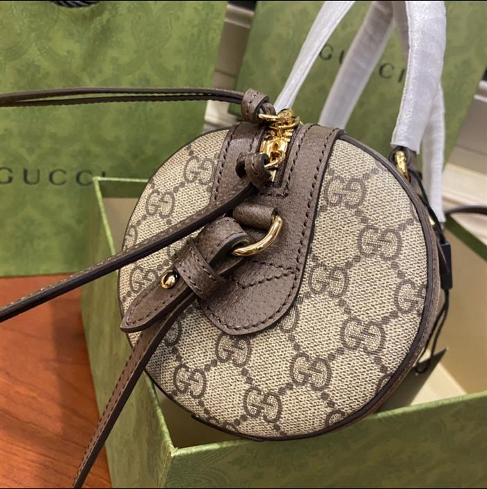 202529C602577N164036713