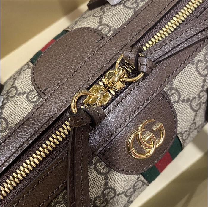 202529C602577N164036761