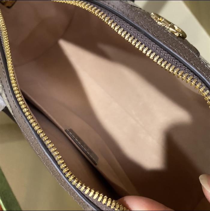 202529C602577N164036808