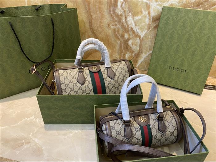 202529C602577N16403727