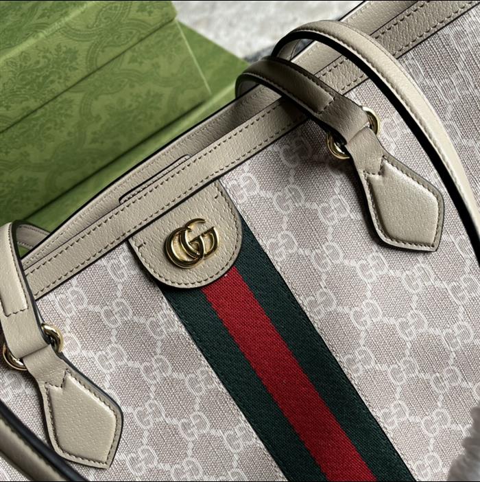 202529C631685N164037948