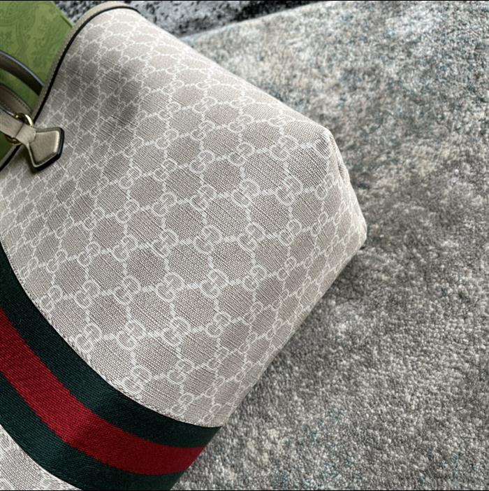 202529C631685N164037979