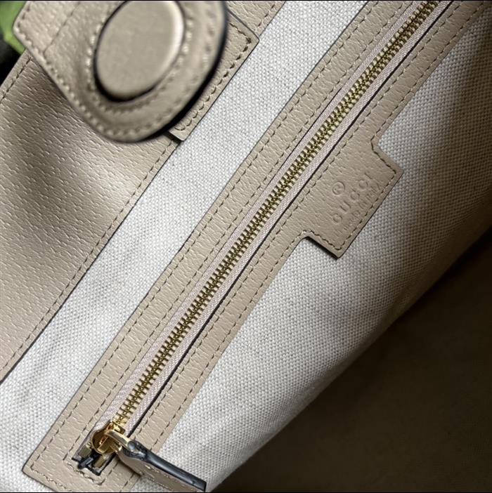 202529C631685N16403811