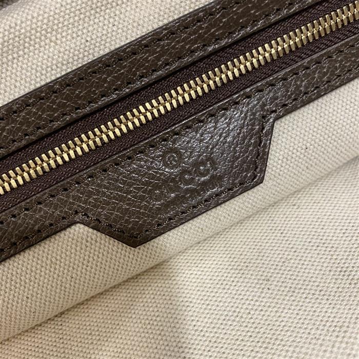 202529C631685N164038151