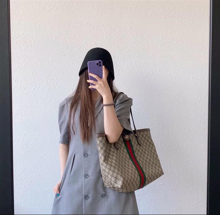 202529C631685N164038541