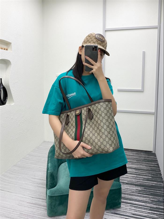 202529C631685N164038605