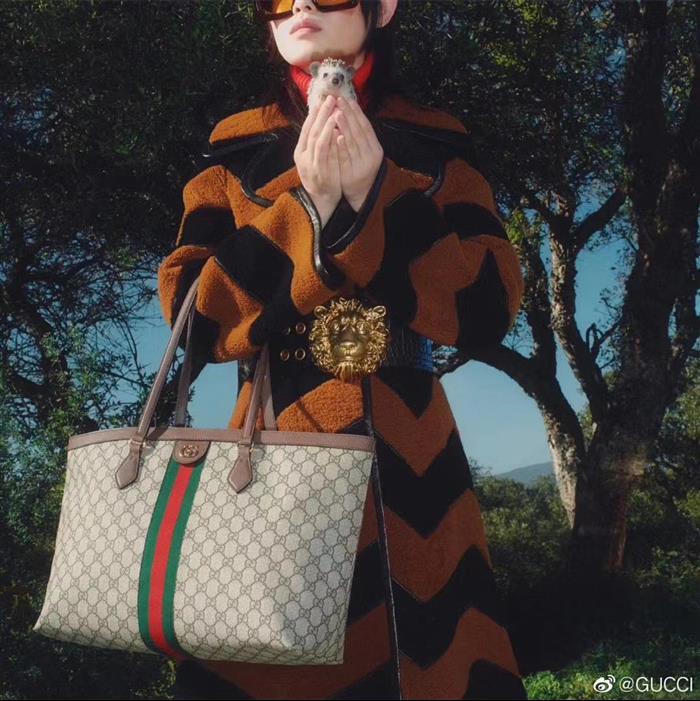 202529C631685N164038795