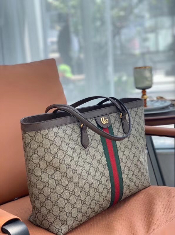 202529C631685N164038827