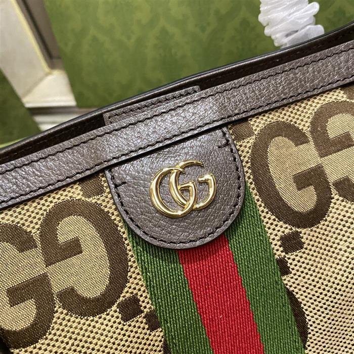 202529C631685N16403889