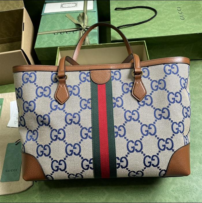 202529C631685N164039365