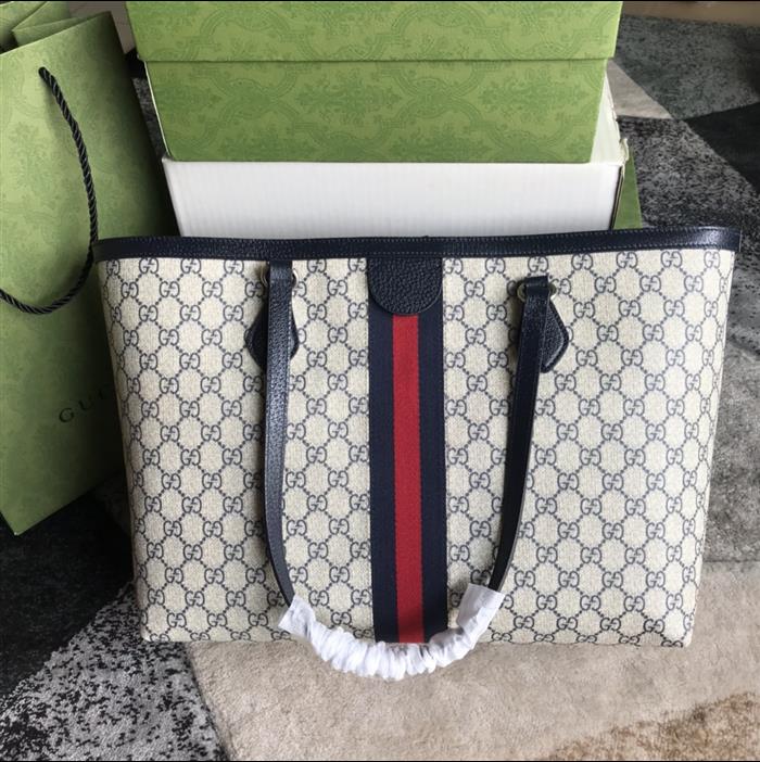 202529C631685N164039508