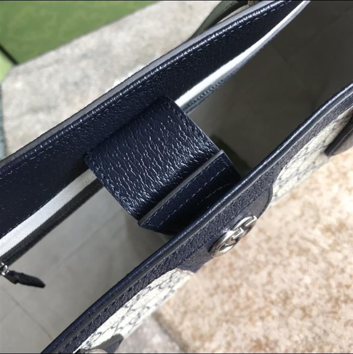 202529C631685N164039556