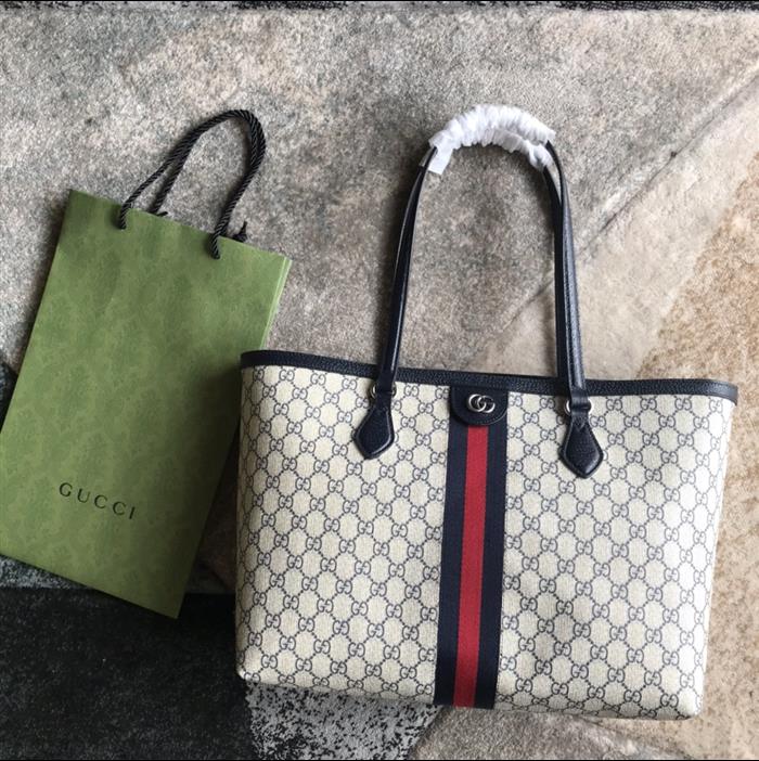 202529C631685N164039603