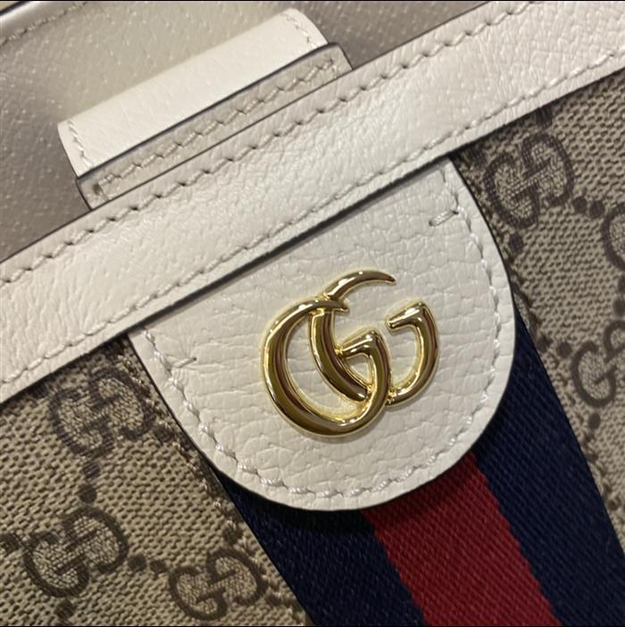 202529C631685N164039666