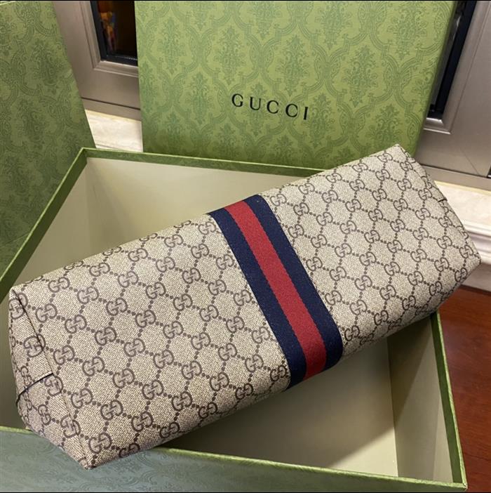 202529C631685N164039682