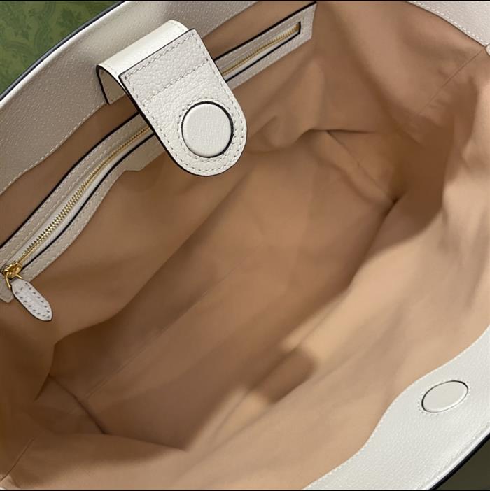 202529C631685N164039697