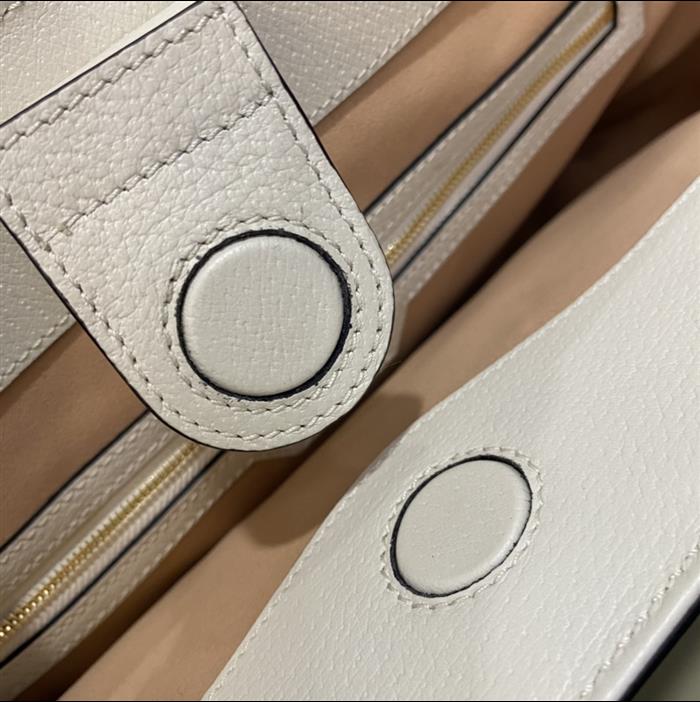 202529C631685N164039713