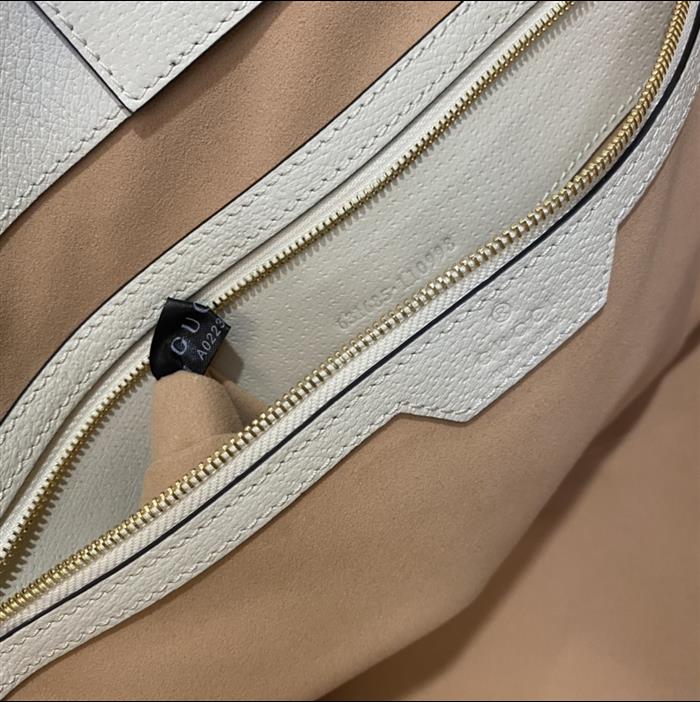 202529C631685N164039728