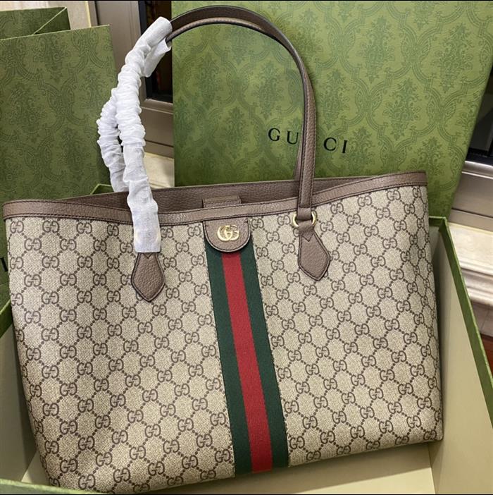 202529C631685N164039761